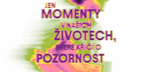 JEN MOMENTY V NA\u0160ICH \u017dIVOTECH, KTER\u00c9 K\u0158I\u010c\u00cd O POZORNOST