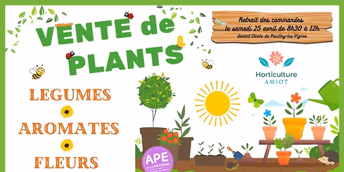 Vente de plants : l\u00e9gumes, aromates, fleurs
