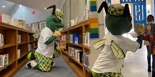 Columbia Fireflies vs. Kannapolis Cannon Ballers