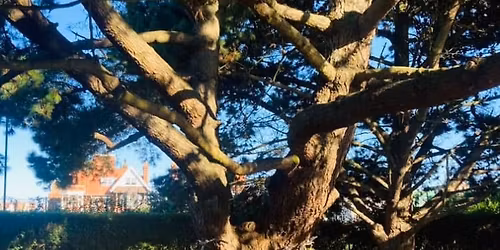 Feral Sing Sat 7th March 11am \u00a35