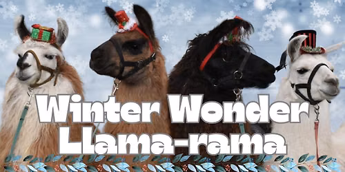 Winter Wonder Llama-rama