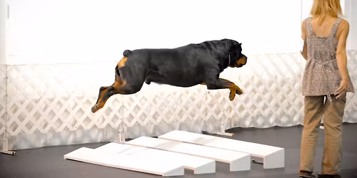 HDTC 2025 Fall Obedience Trials