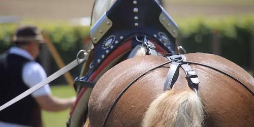 Holzr\u00fcckecup 2. Bewerb, Pfingstmontag, 25. Mai 2026