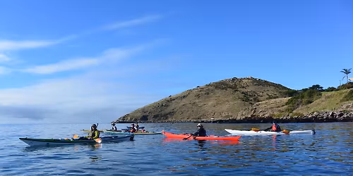 Explore Victor Harbor to Kings Beach Return  