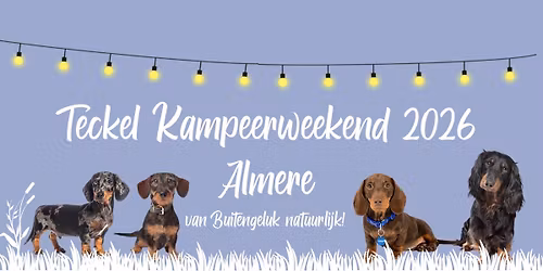 Teckel Kampeerweekend 2026