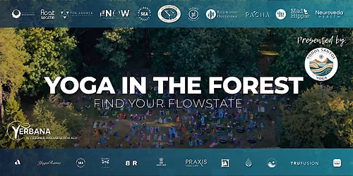 Yerbana - YOGA IN THE PARK: Flow In The Forest 2026