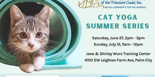 Cat Yoga Summer Series