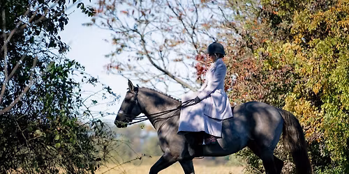Sidesaddle 101 Clinic