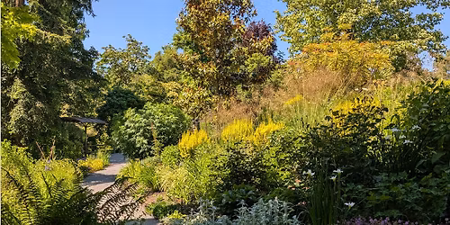 Earth Day Forest Bathing in the Garden