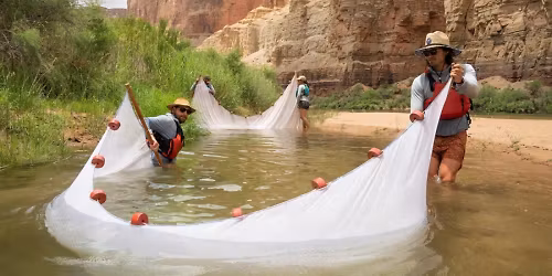 Parking Lightning In A Bottle Festival - (5 Day Pass)
