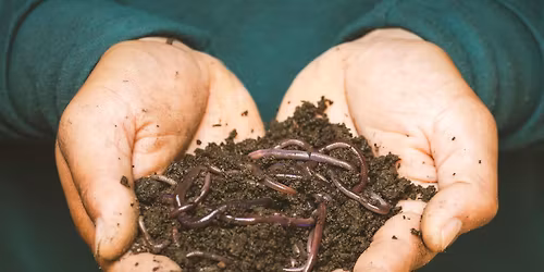 Master Gardeners: Worm Composting \/ Vermiculture