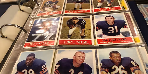 Buffalo Grove Sports Card Show