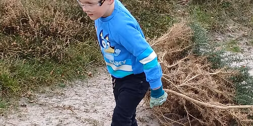 Gorse Cut & Burn Family Day - Purbeck Goes Wild