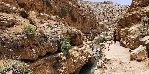 \u0412\u0435\u043b\u0438\u043a\u043e\u043b\u0435\u043f\u043d\u044b\u0439 \u043d\u0430\u0445\u0430\u043b\u044c \u041f\u0440\u0430\u0442