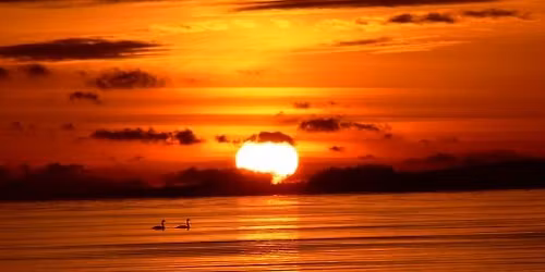 Solopgangsl\u00f8bet #1