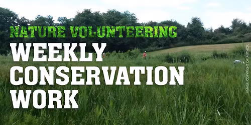 Woodland Management at Bottom Wood