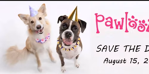 CDRO at Pawlooza London 