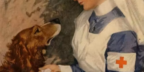 Infection Control- Tool Box Talk (Team Members)