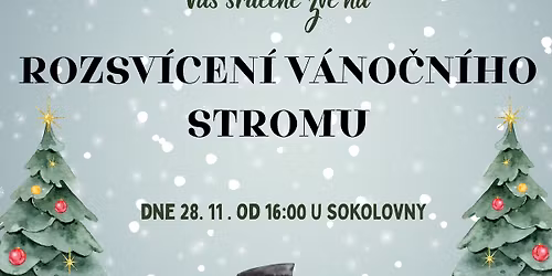 ROZV\u00cdCEN\u00cd V\u00c1NO\u010cN\u00cdHO STROMU