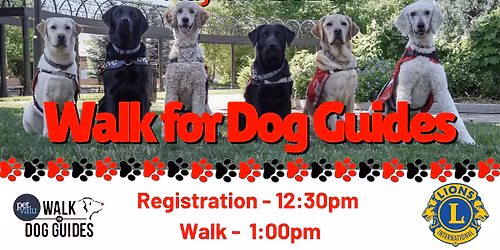2026 Pet Value Walk for Dog Guides
