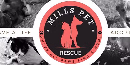 Mills Pet Rescue Car Wash Fundraiser