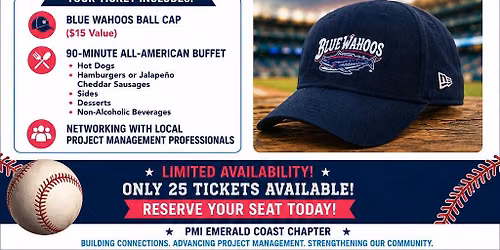 PMI Emerald Coast Networking Night at the Ball Park