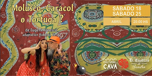 \u00bfMolusco, caracol o tortuga?