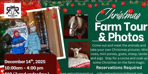 Christmas Farm Tour and Photos