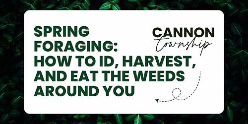 Spring Foraging: How to ID, Harvest, and Eat the Weeds Around You