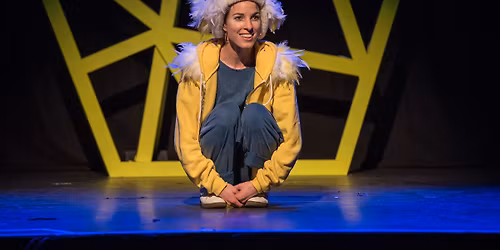 Eule findet den Beat