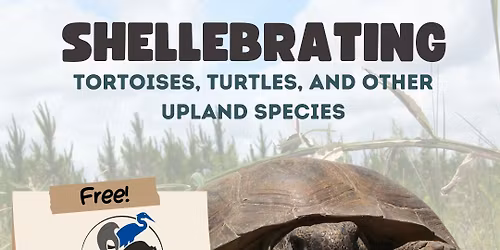Shellebrating Tortoises, Turtles, and other Upland Species Workshop