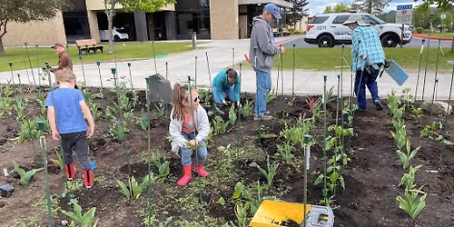 Veteran's Garden Dahlia Planting Saturday May 23rd 9:00 AM