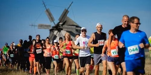 Don Quijote félmaraton - Tés