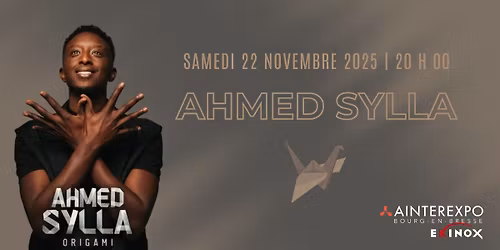 Ahmed Sylla : Origami