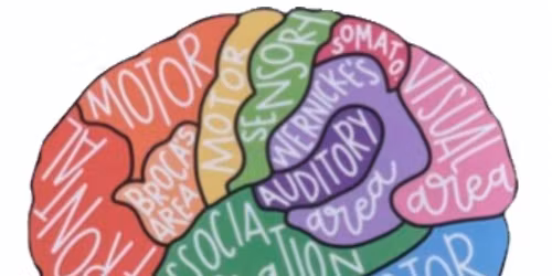 Strength Over Stroke Conference