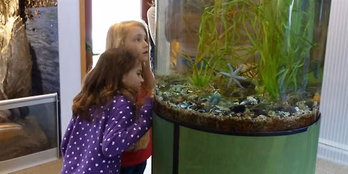 Aquarium Tour and Fish Feeding