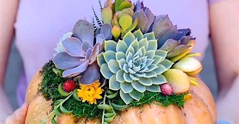 Pumpkin Succulent Workshop on Mercer Island