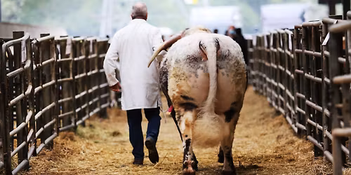 Society Spring Show & Sale 2026