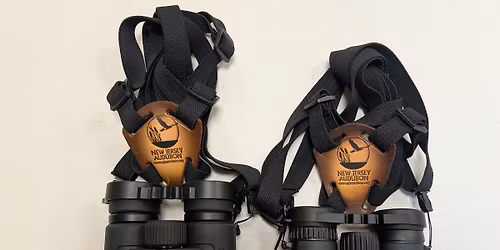 NJ Audubon: Binocular Basics at Hawk Rise