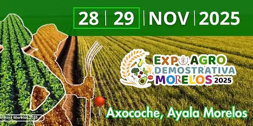 Expo Agro Demostrativa Morelos 2025