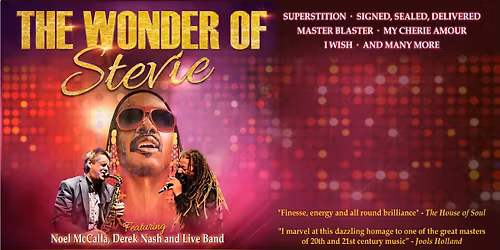 The Wonder of Stevie