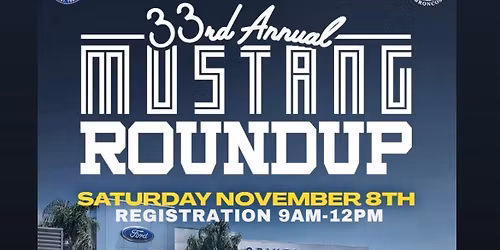 Mustang Round Up! \ud83d\udc0e