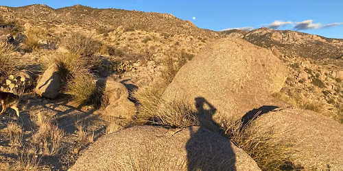 Hilarious Thursday #4 - Whitewash Repeats (Menaul Trailhead)