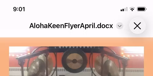 Gongs and Himalayan Singing Bowls Sound Meditation