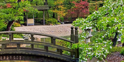 Guided Serenity Walk - Awareness