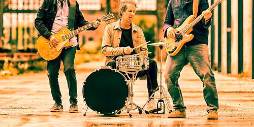 Nice Little Penguins