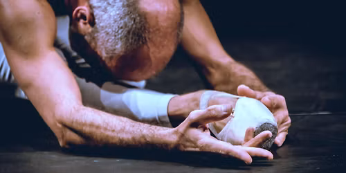 The Still Dying Swan + The The