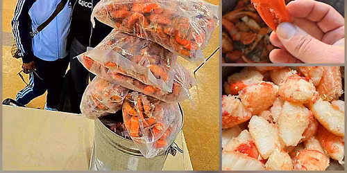 $9.99lb & $10.99lb! ATLANTIC RED CRAB CLAW SALE! Cuyahoga County Fairgrounds! IN PERSON ONLY! 