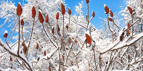 Public Walk \u2013 Leaside Spur