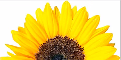 A Discussion for Women: Bloom and Breathe